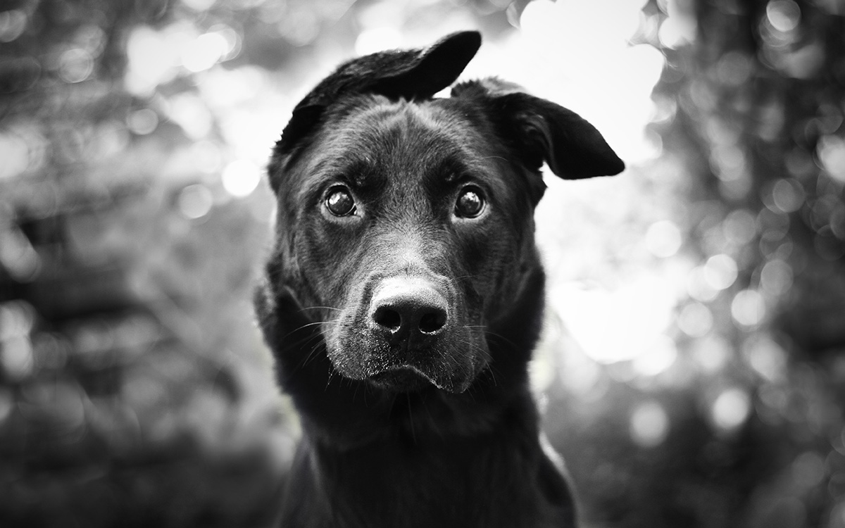 Free Multiplayer Games Online – Play With Friends Instantly